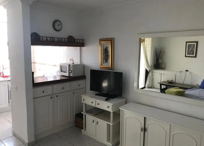 公寓 Parque Santiago Ii Tenerife *