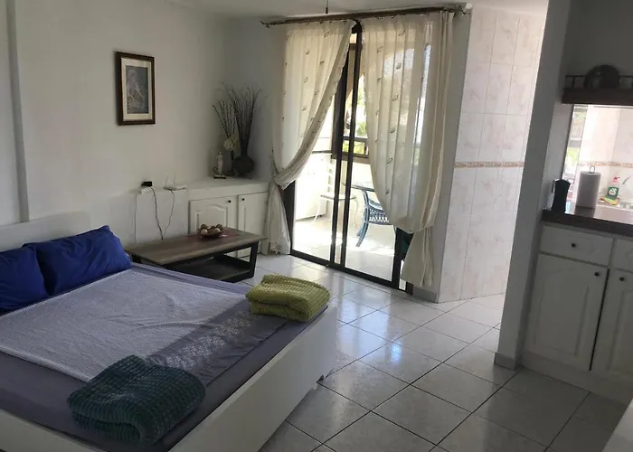 公寓 Parque Santiago Ii Tenerife 阿罗纳